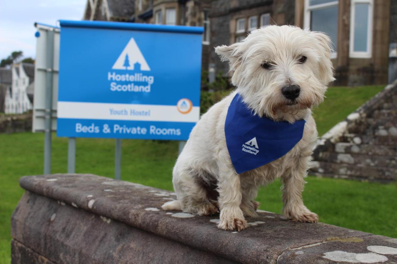 奥本青年旅舍旅舍 外观 照片 The West Highland White Terrier is the official dog of the AA